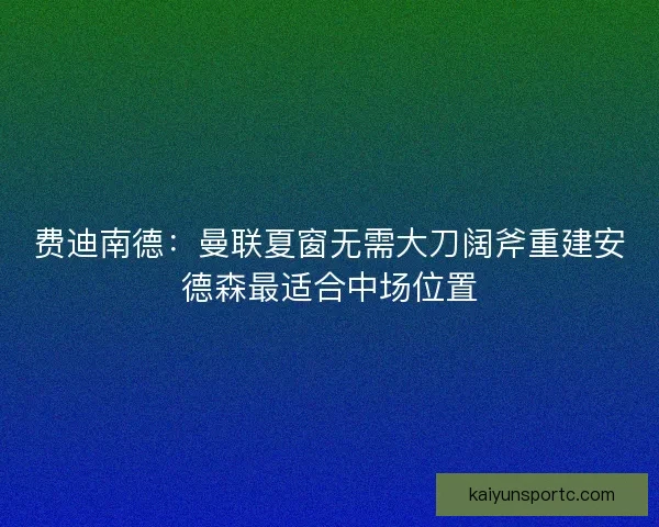 费迪南德：曼联夏窗无需大刀阔斧重建安德森最适合中场位置